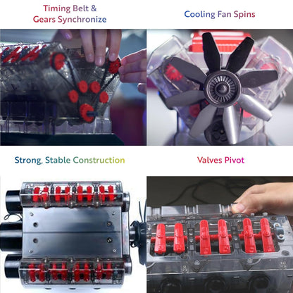 V8 Combustion Engine Model Kit That Runs - Build Your Own STEM Mini V8 Model Engine Kit for Adults & Kids Age 12+, Visible V8 Mini Engine Kit That Works for Adult W/ 270 STEM Parts